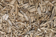 biomass boilers Coate