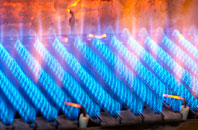 Coate gas fired boilers